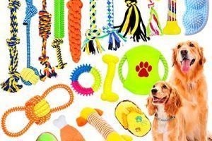 Mejores juguetes para perros en 2026