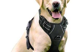Mejores arneses para perros en 2026