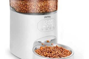 Mejores comederos automáticos para gatos en 2026