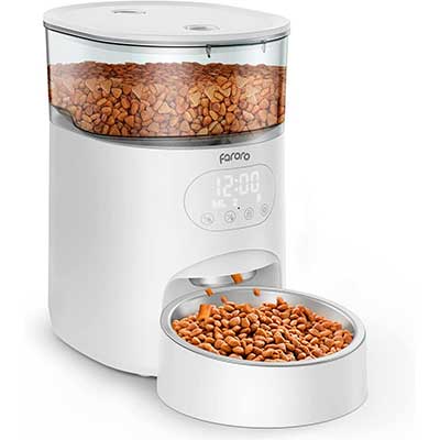 Mejores comederos automáticos para gatos