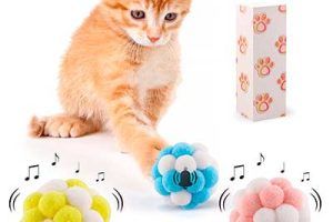 Mejores juguetes para gatos en 2026