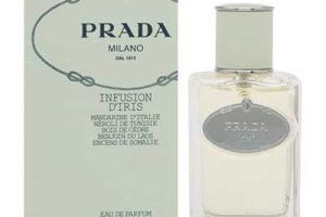 Mejores perfumes en 2026