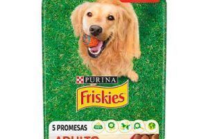 Mejores piensos para perros en 2026