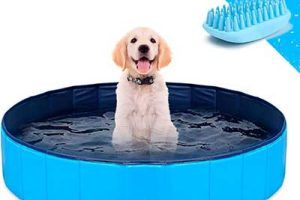 Mejores piscinas para perros en 2026