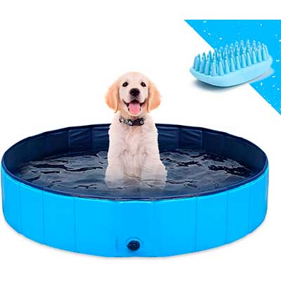 Mejores piscinas para perros