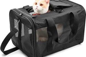 Mejores transportines para gatos en 2026
