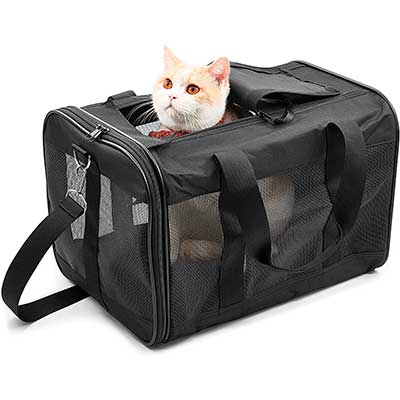 Mejores transportines para gatos