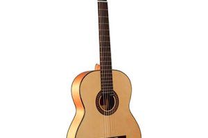 Guitarras flamencas