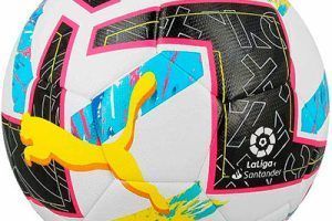 Balones de fútbol Puma