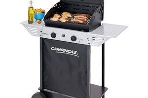 Barbacoas Campingaz