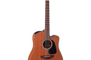 Guitarras Takamine
