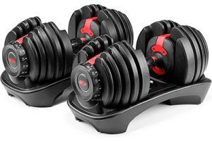 Mancuernas Bowflex