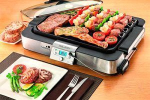 Planchas de cocina Palson