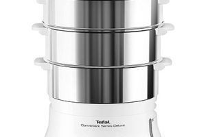 Vaporeras Tefal