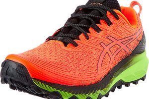 Zapatillas trail Asics