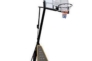 Canastas de baloncesto profesionales