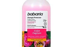 Champús Babaria