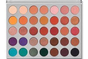 Paletas de maquillaje Morphe