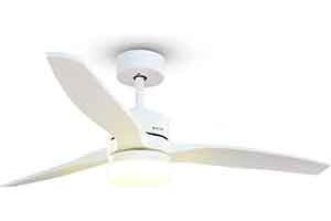 Ventiladores de techo
