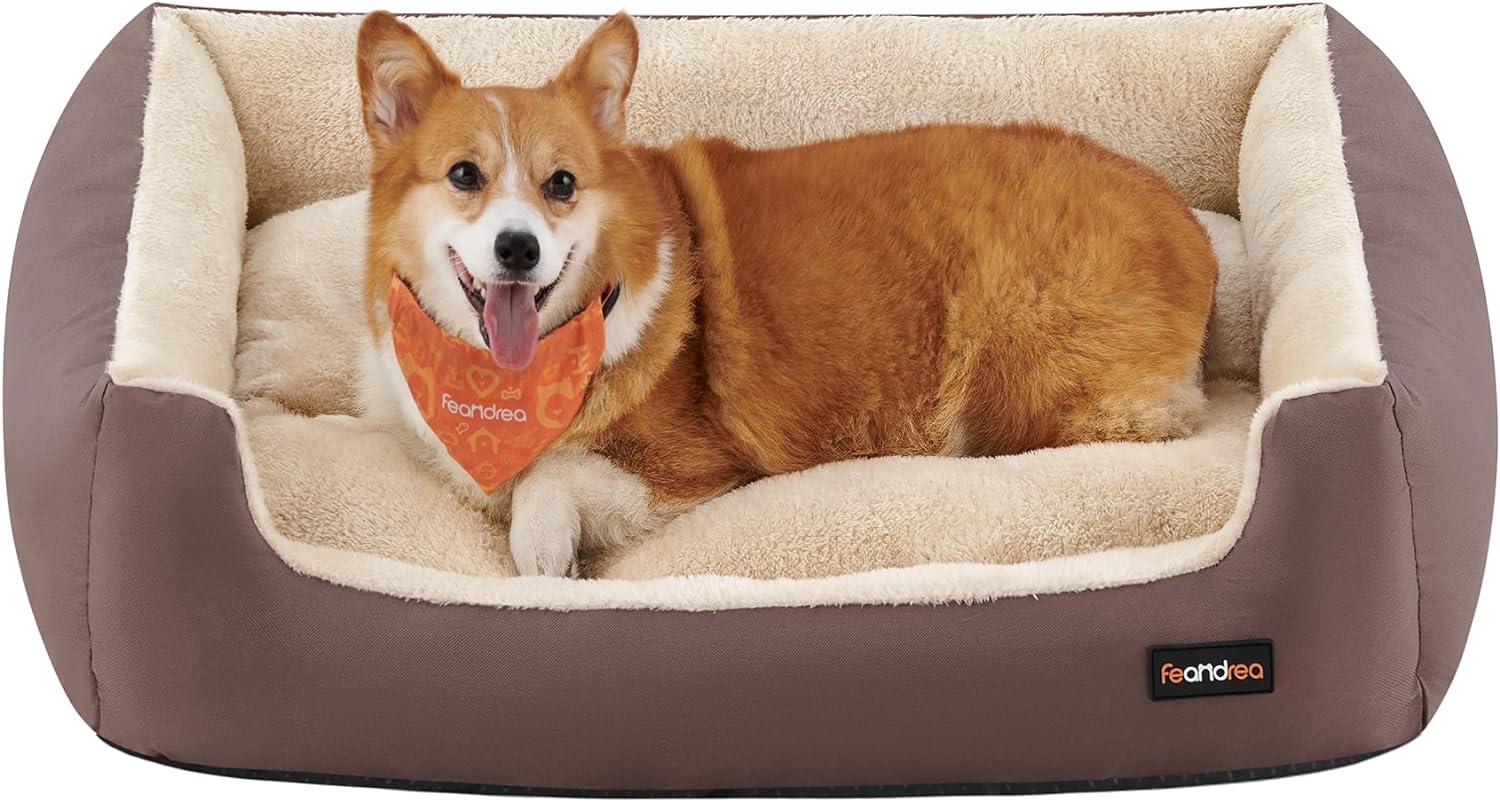 Mejores camas para perros