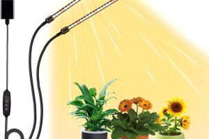 Mejores lámparas de plantas en 2026